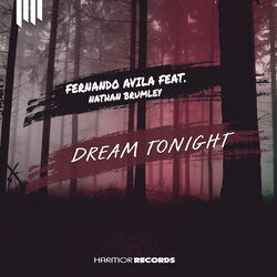 Cover of Dream Tonight