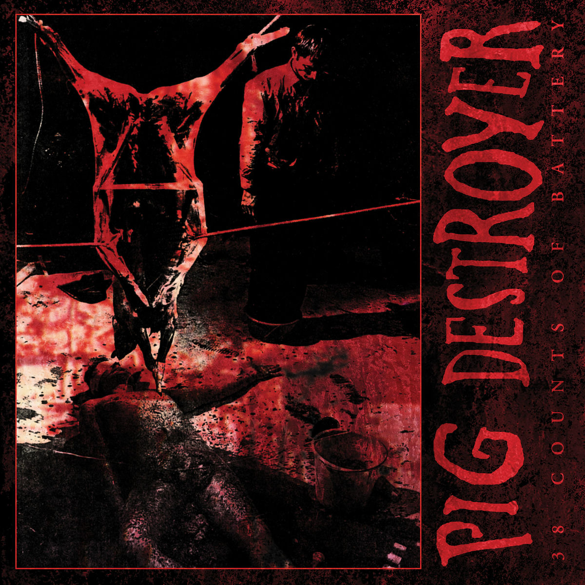 Album cover of 38 Counts of Battery (Reissue)