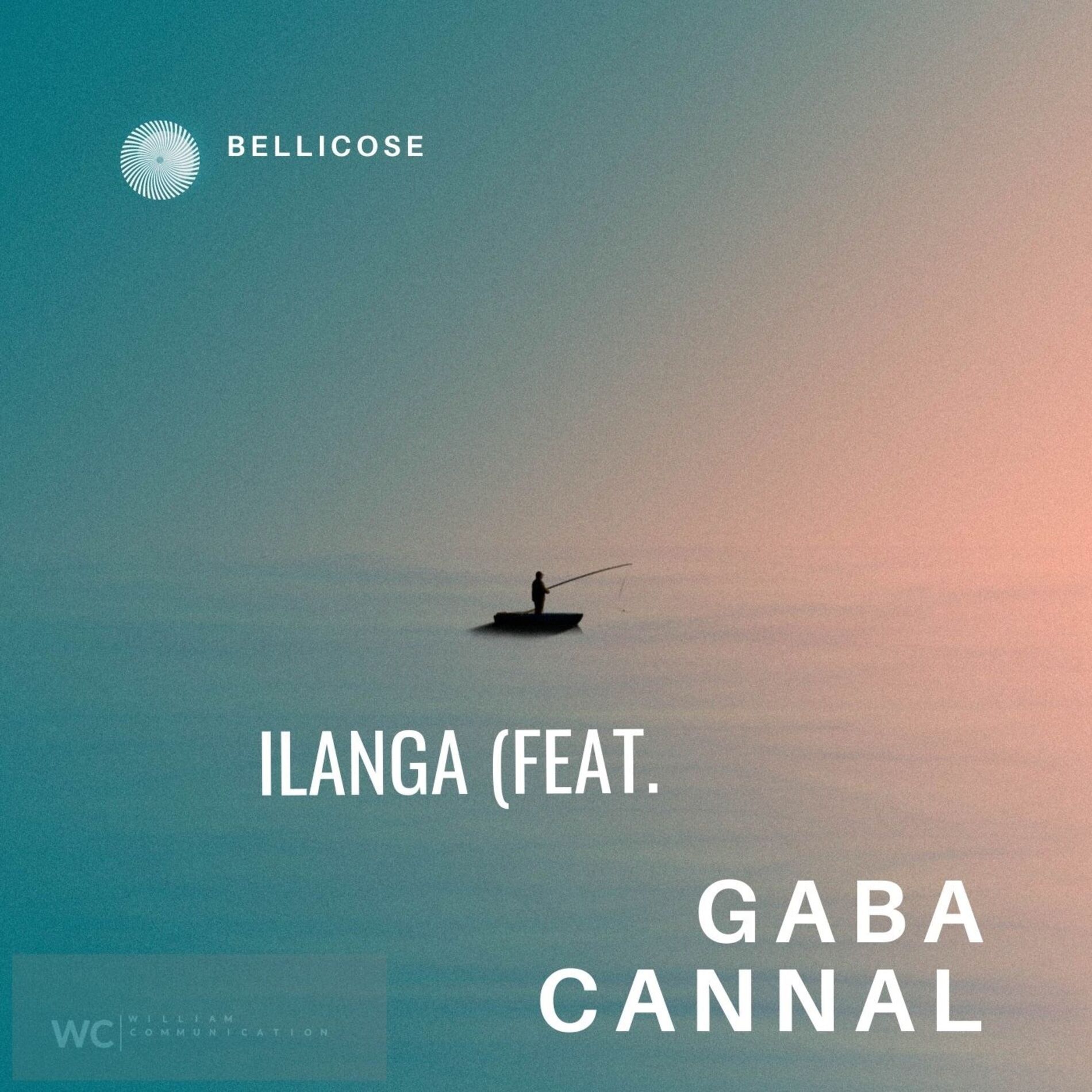 Album cover of Ilanga