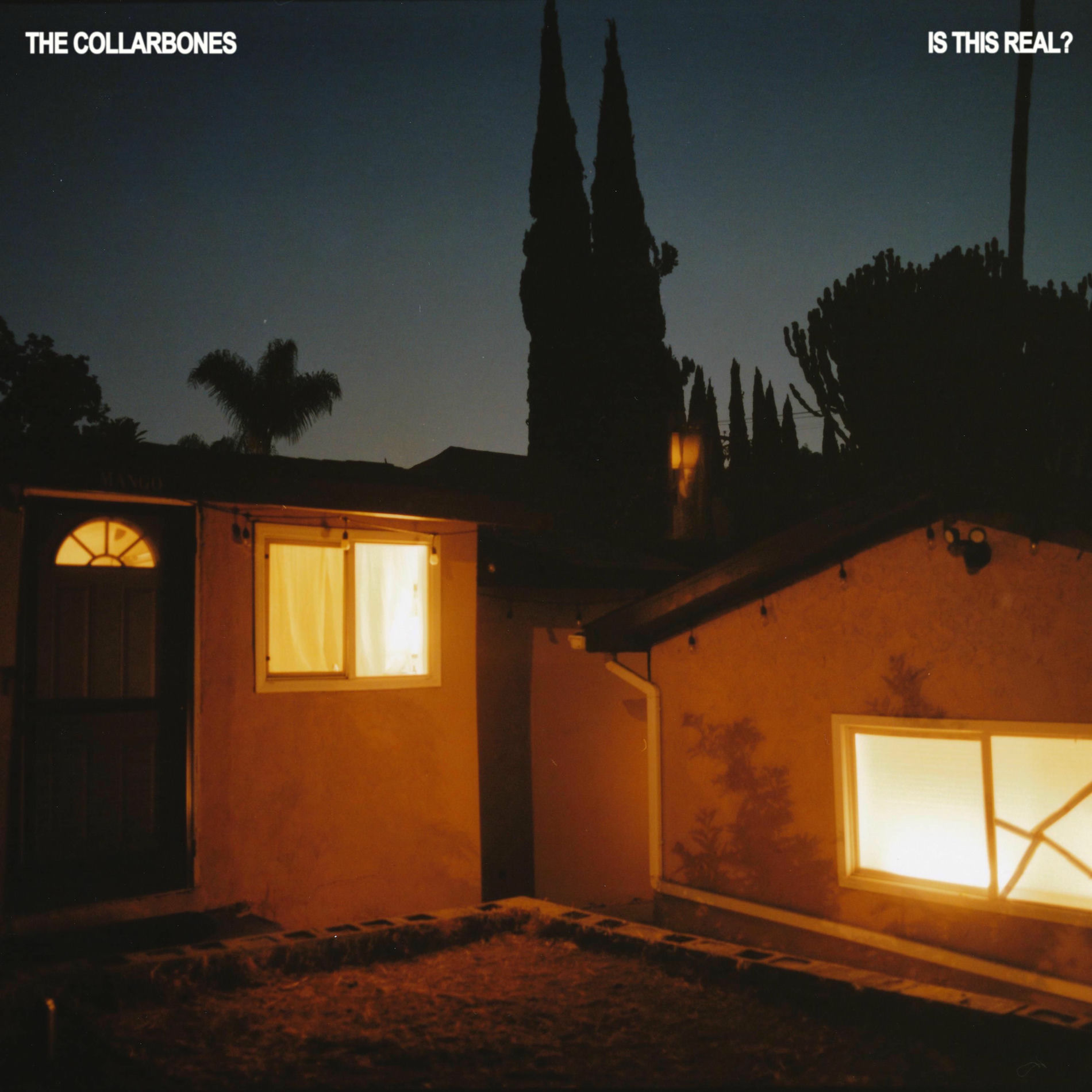 Album cover of Is This Real?