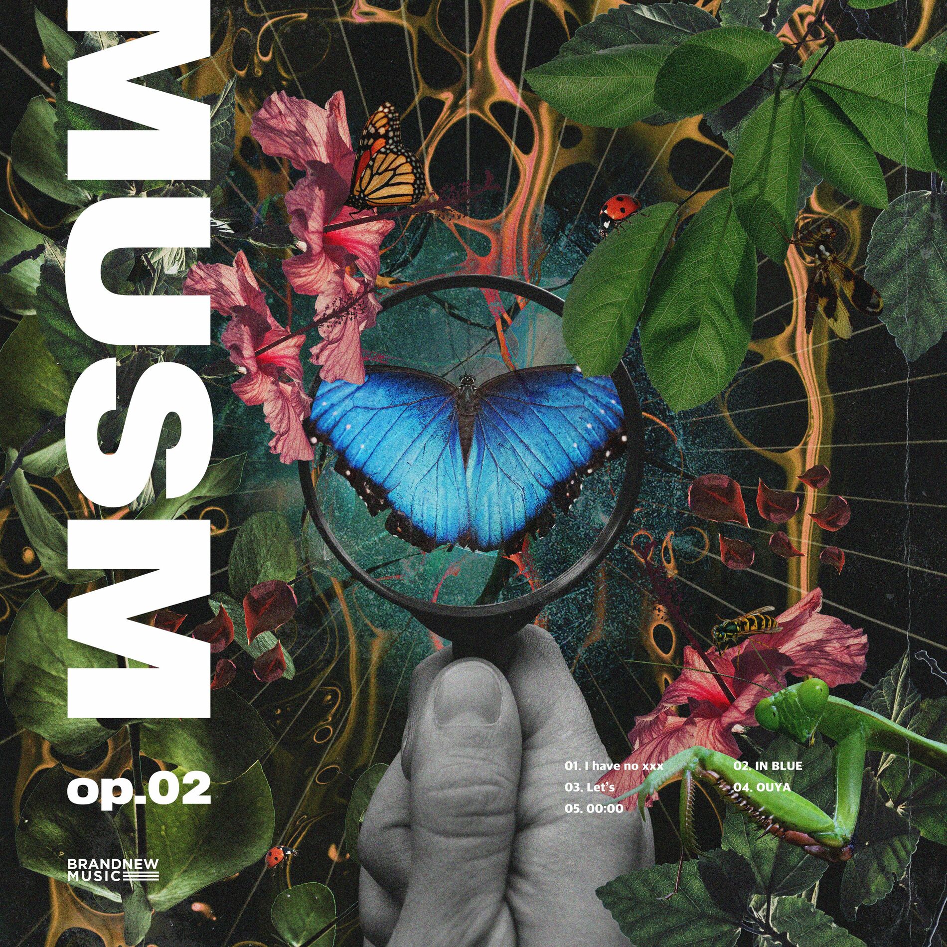 Album cover of MUSM, op. 2