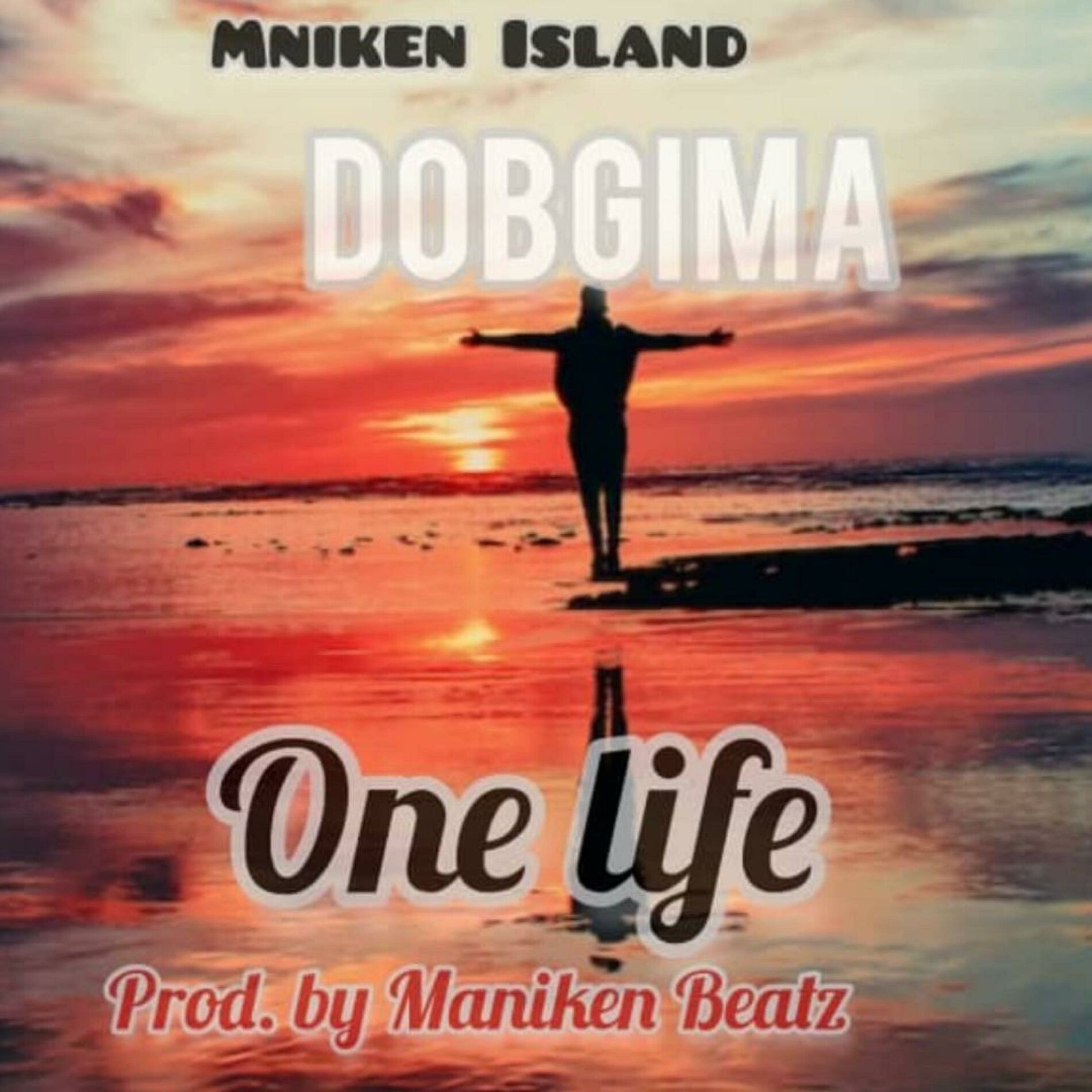 Album cover of One Life