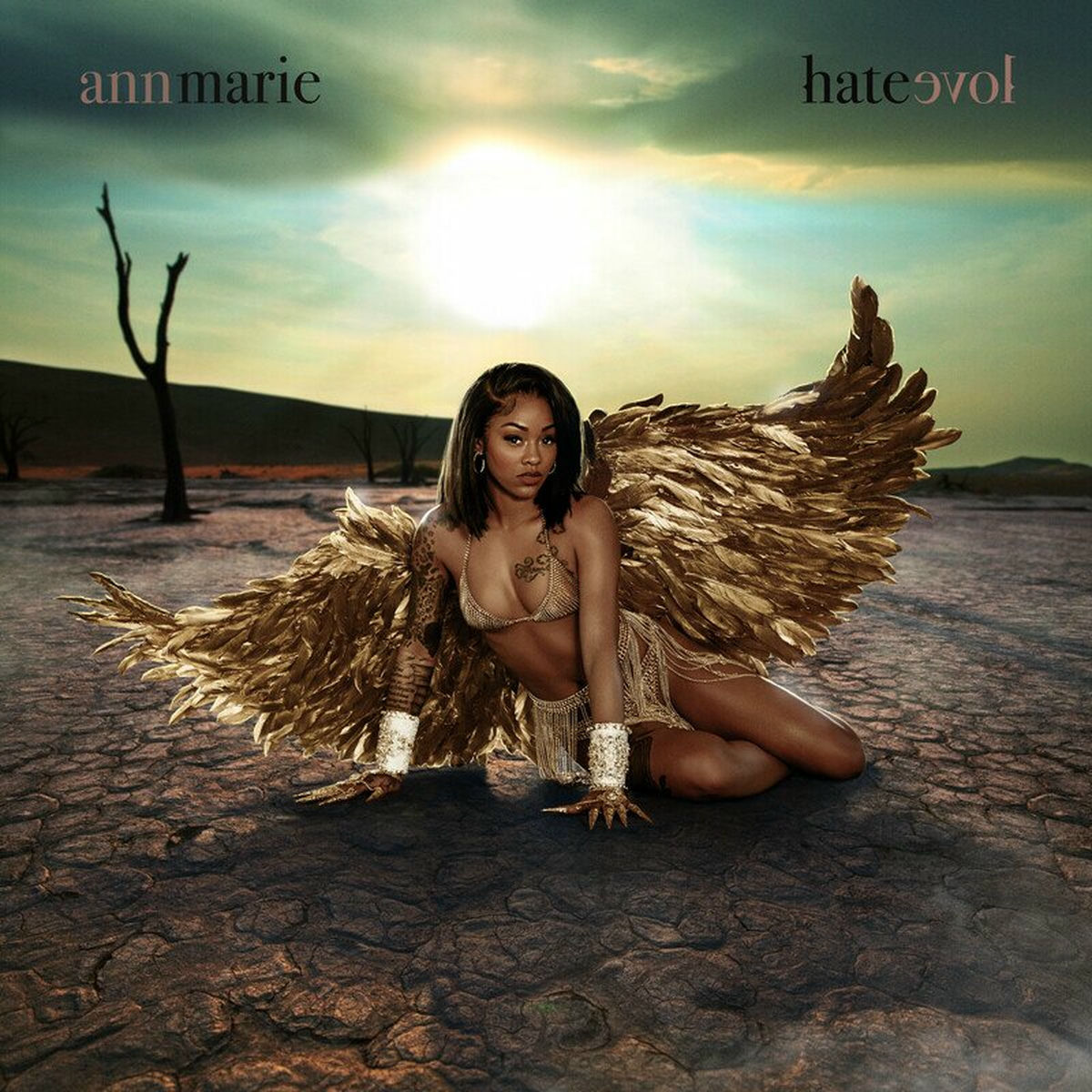 Album cover of Hate Love