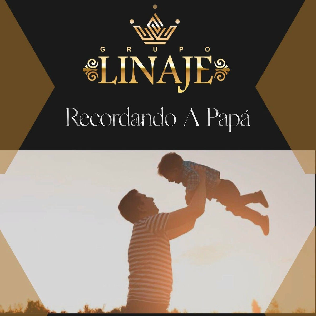 Album cover of Recordando a Papá