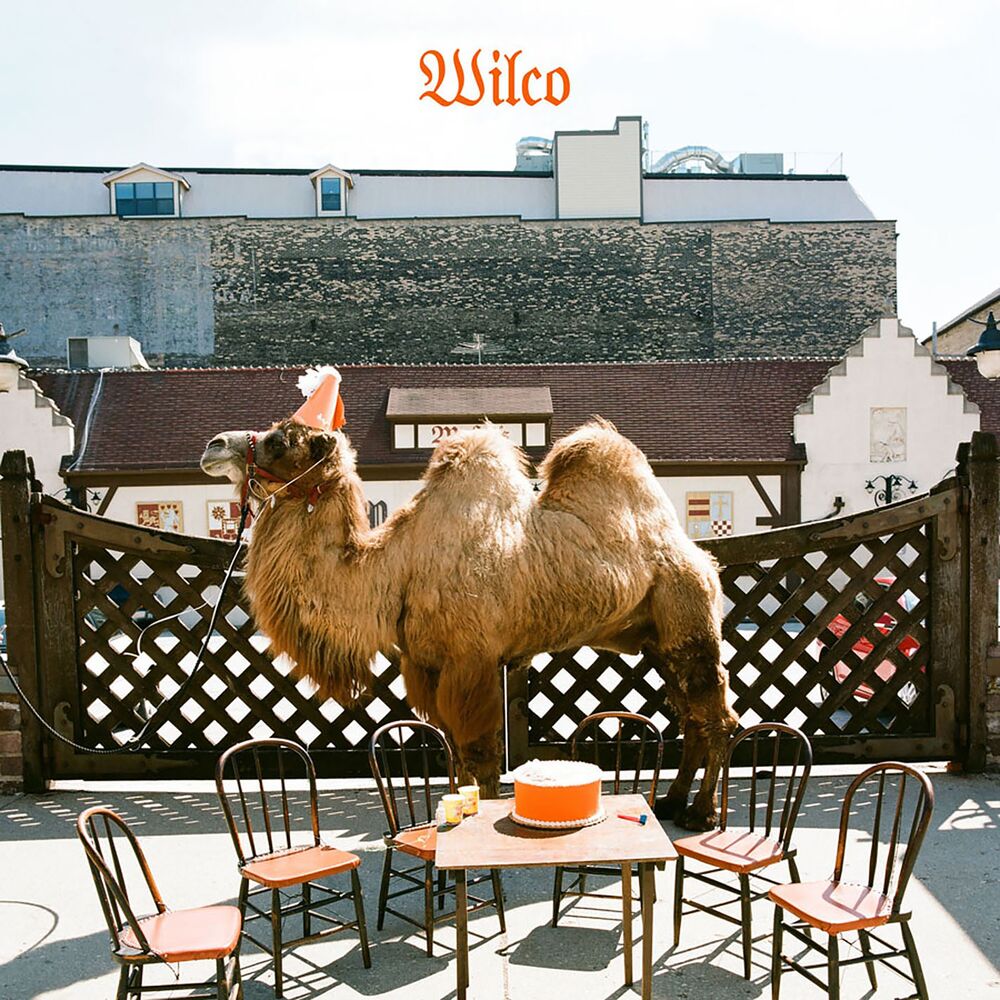 Picture of Wilco (The Album)