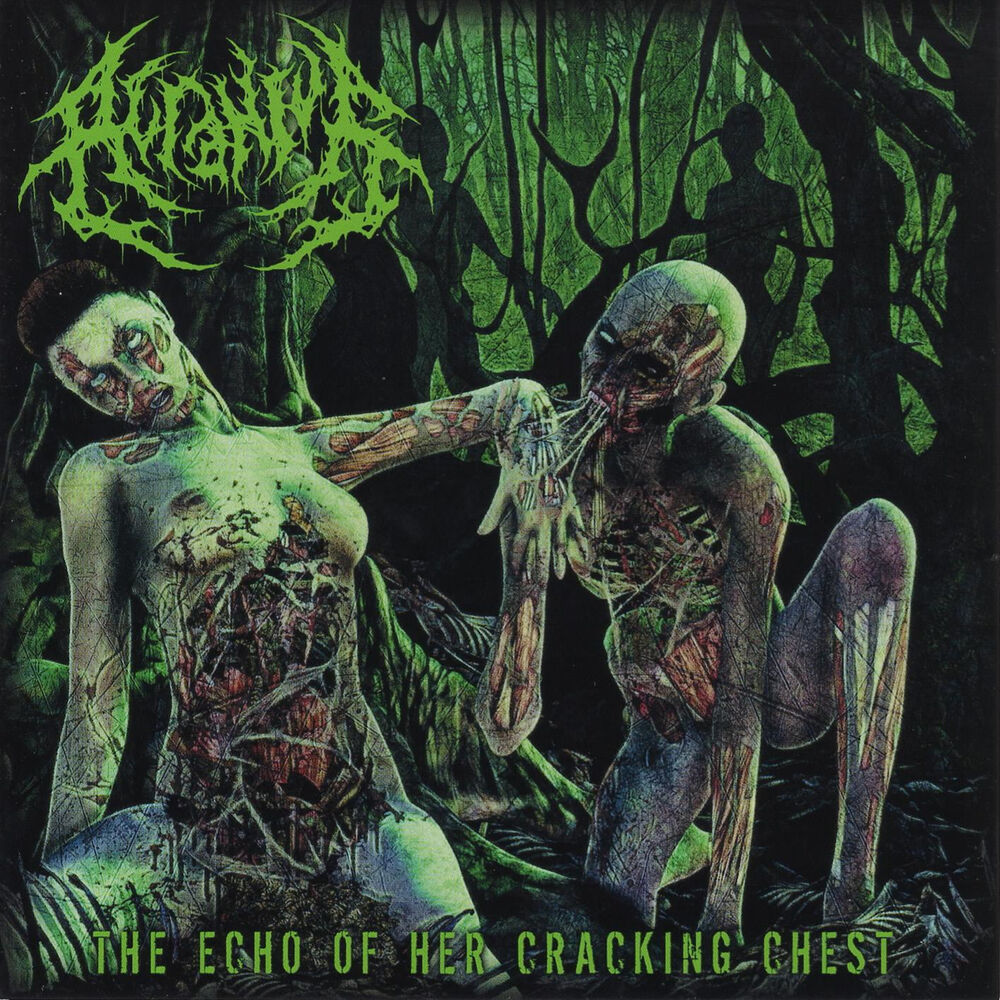Picture of The Echo of Her Cracking Chest