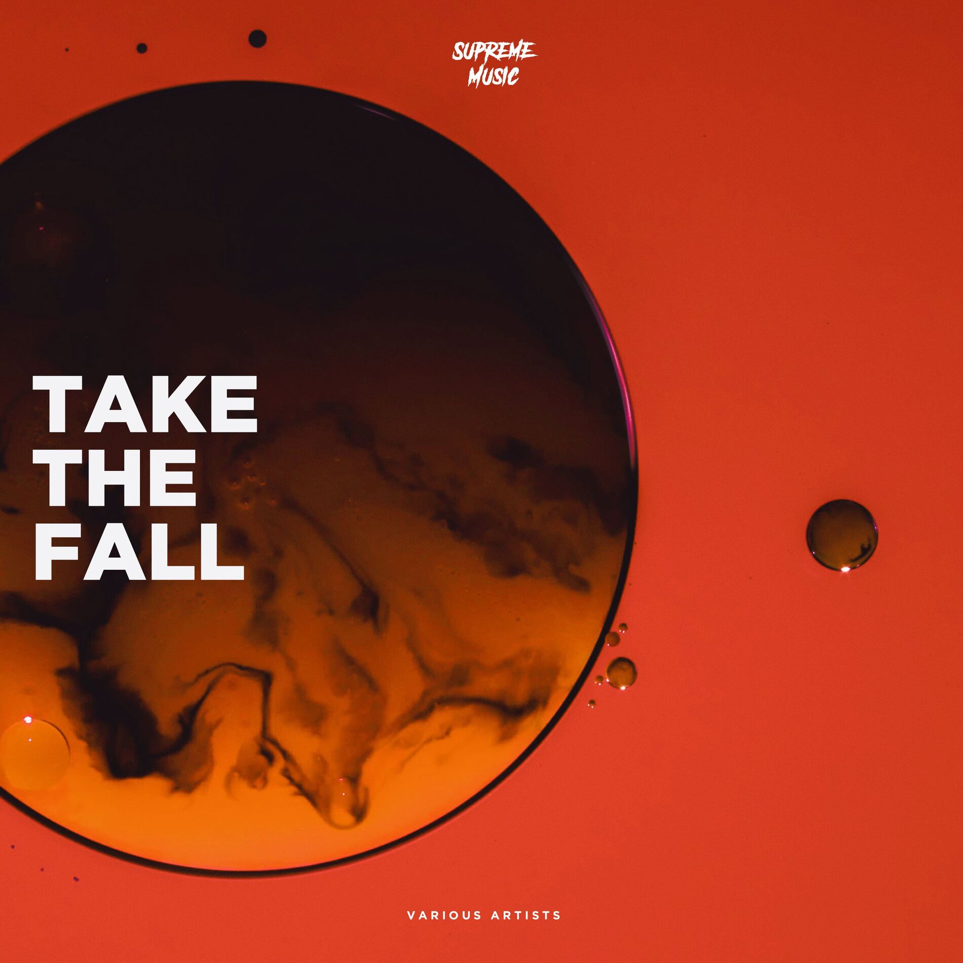 Album cover of Take the Fall