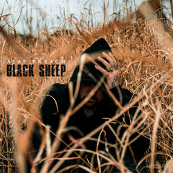 Cover of Black Sheep