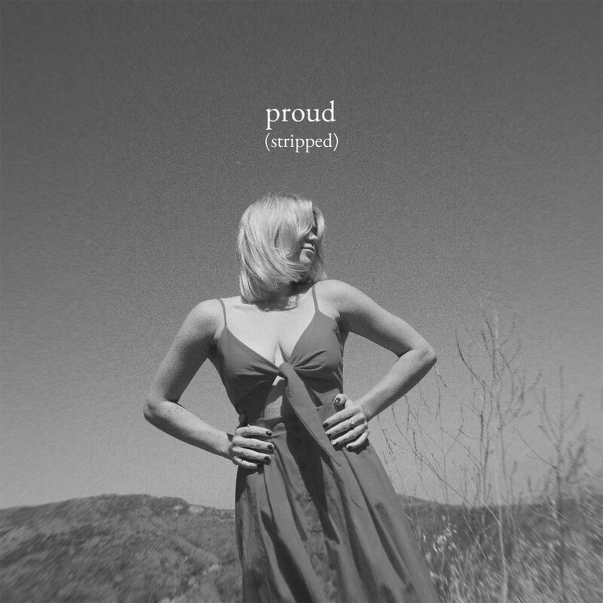 Album cover of proud (stripped)