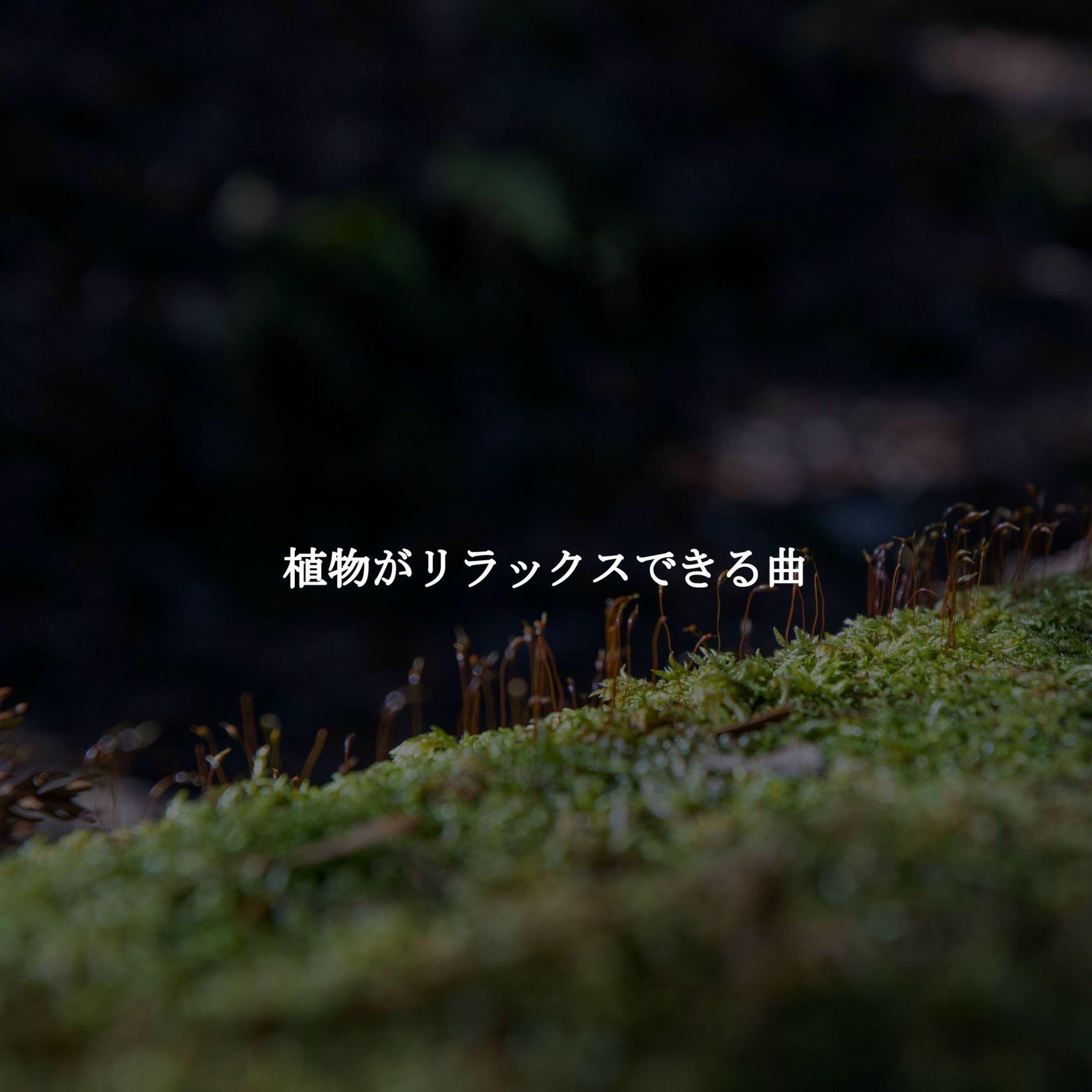 Album cover of 植物がリラックスできる曲