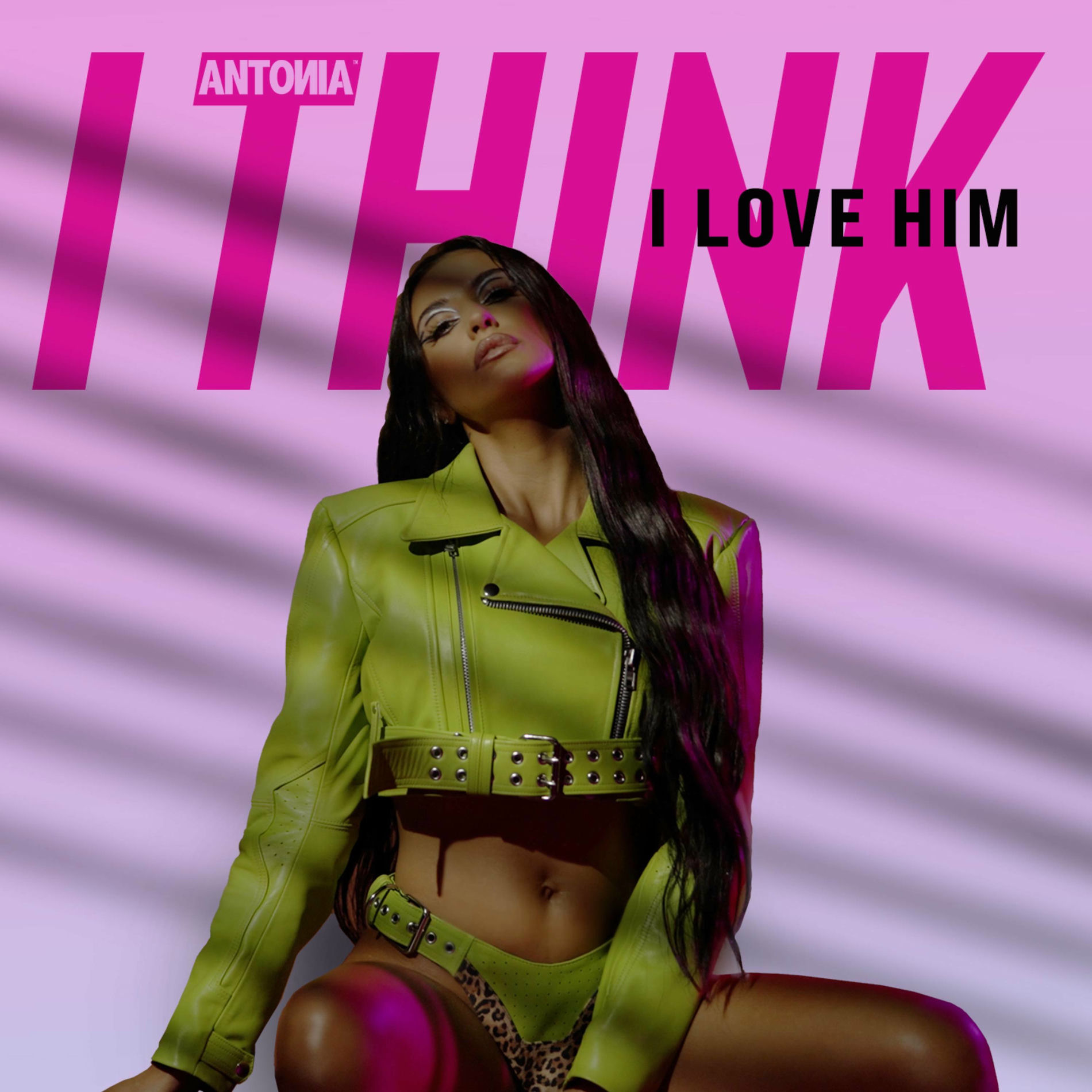 Album cover of I Think I Love Him