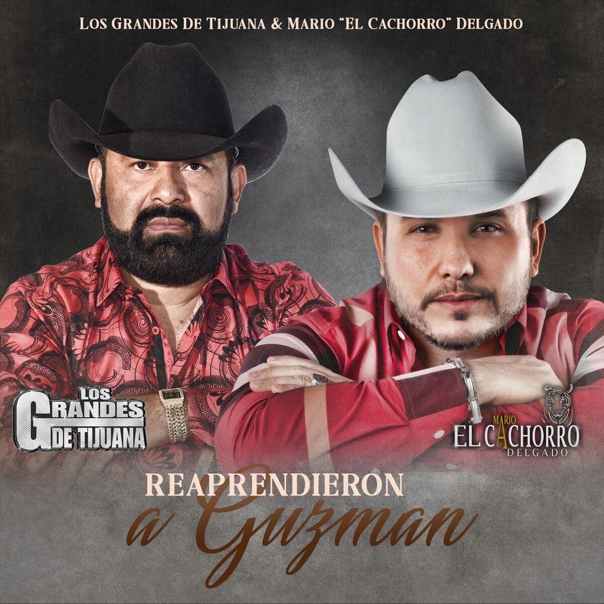 Album cover of Reaprehendieron a Guzman Ver. Banda