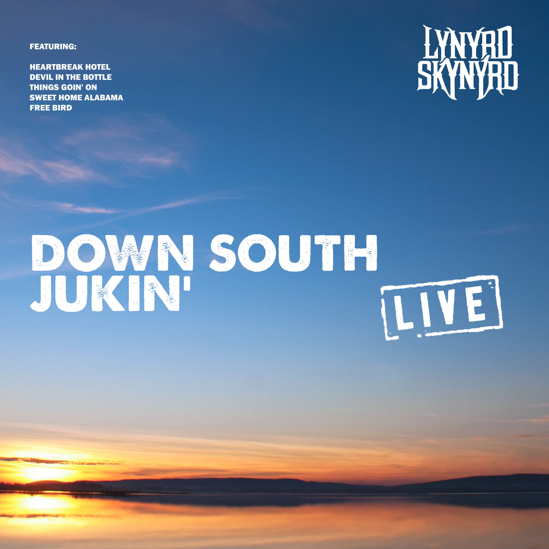 Album cover of Down South Jukin'