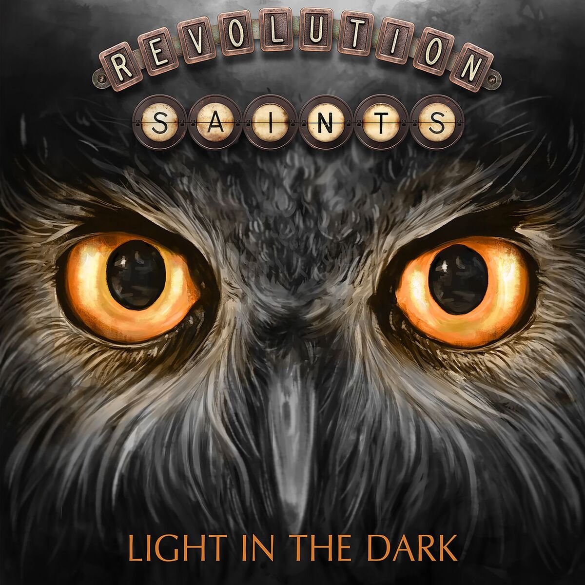 Album cover of Light in the Dark (Deluxe Version)