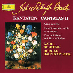 Cover of Bach: Cantatas II