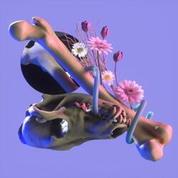 Cover of Bone