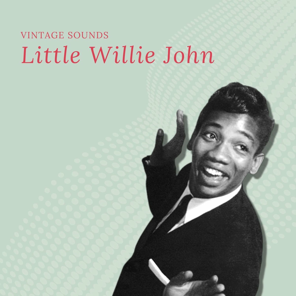 Album cover of Little Willie John - Vintage Sounds