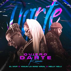 Cover of Quiero Darte (Remix)