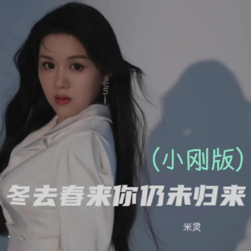 冬去春来你仍未归来 (小刚版)