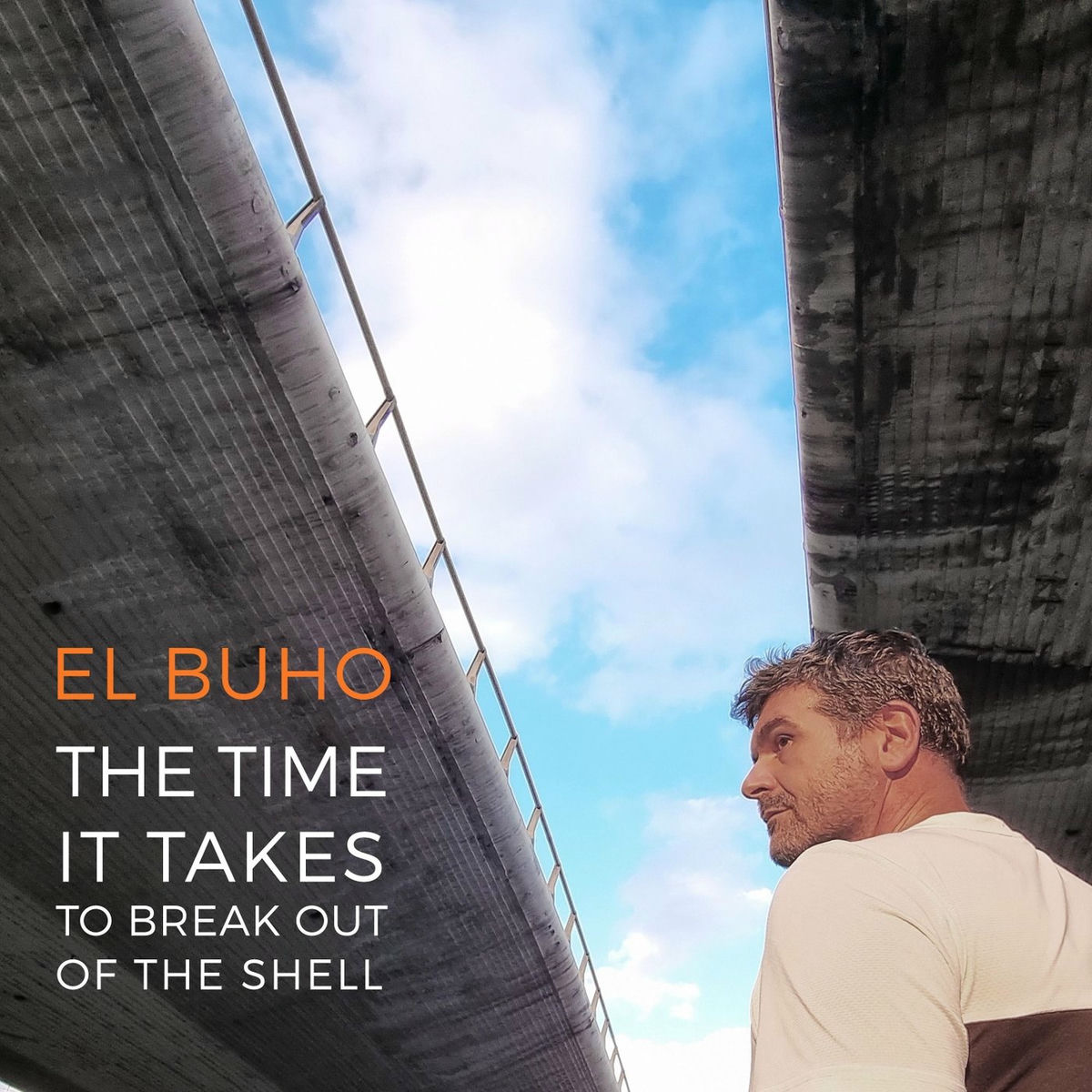 Album cover of The Time It Takes to Break Out of the Shell