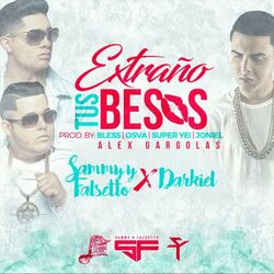 Cover of Extraño Tus Besos