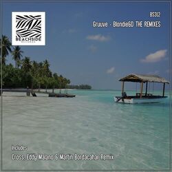 Cover of Blondie&D THE REMIXES