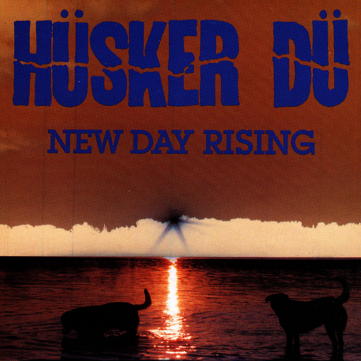 Album cover of Celebrated Summer