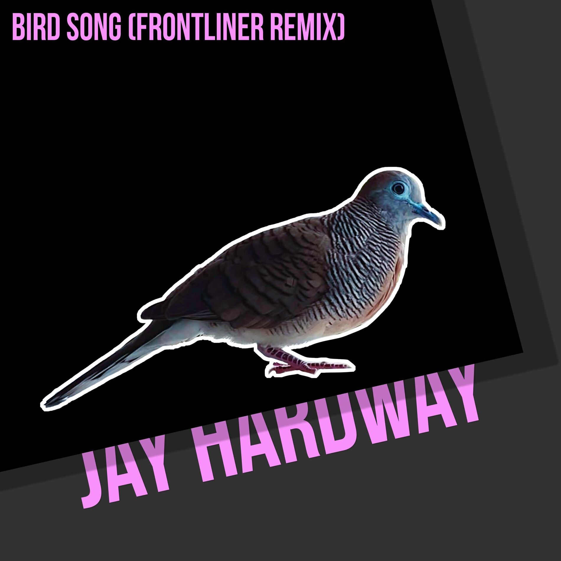 Album cover of Bird Song