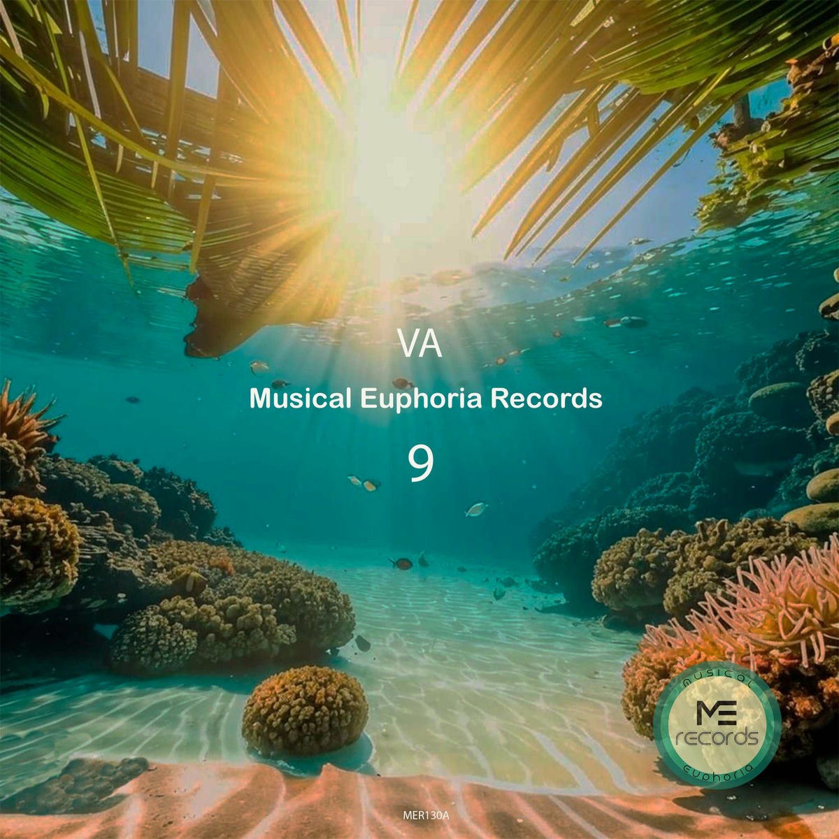 Album cover of Musical Euphoria Records, No.9