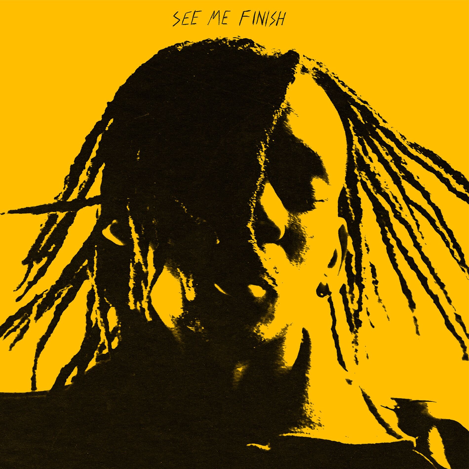 Album cover of See Me Finish