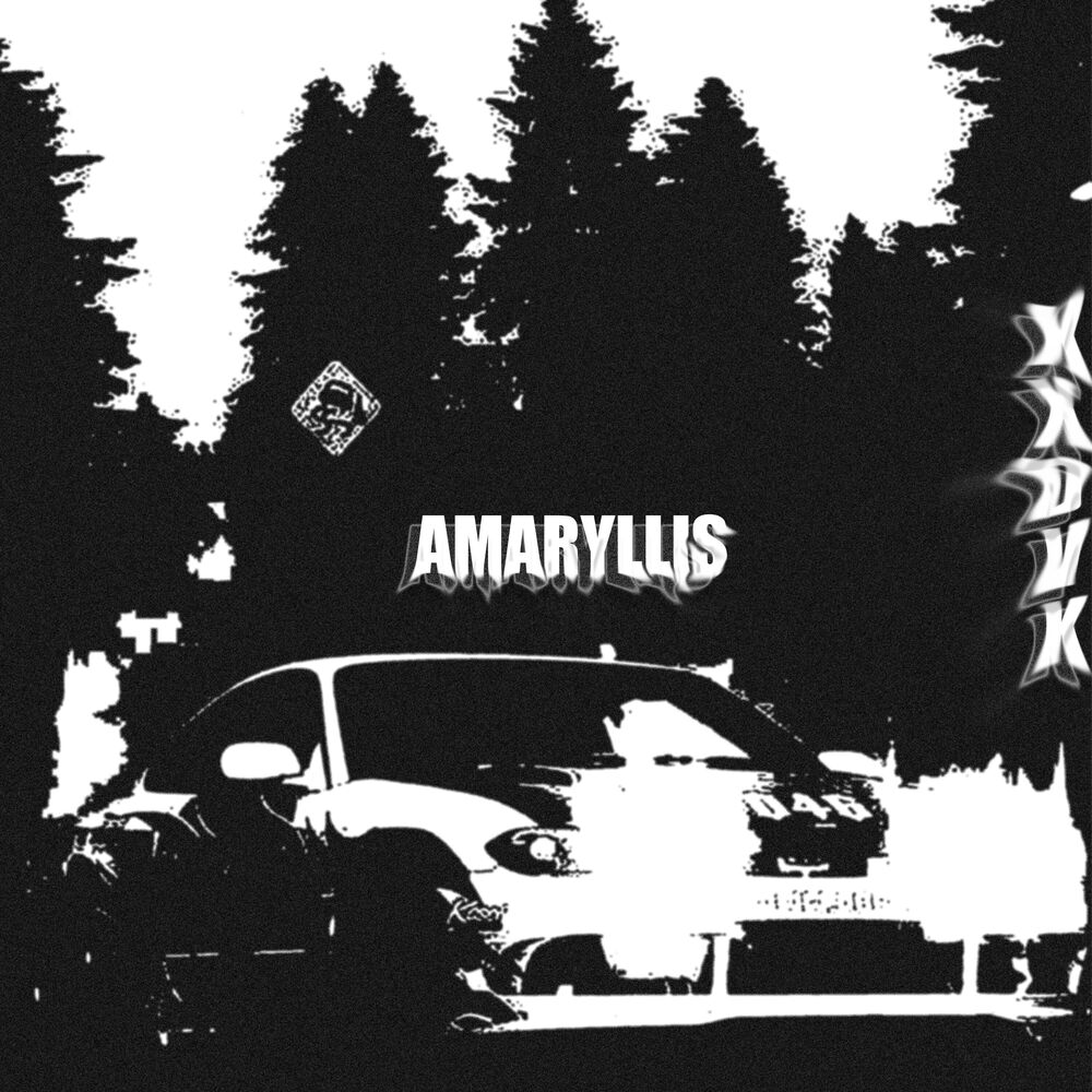 Picture of AMARYLLIS