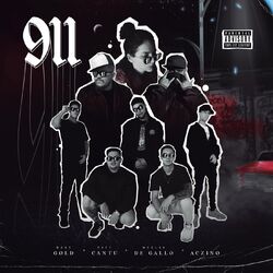 Cover of 911