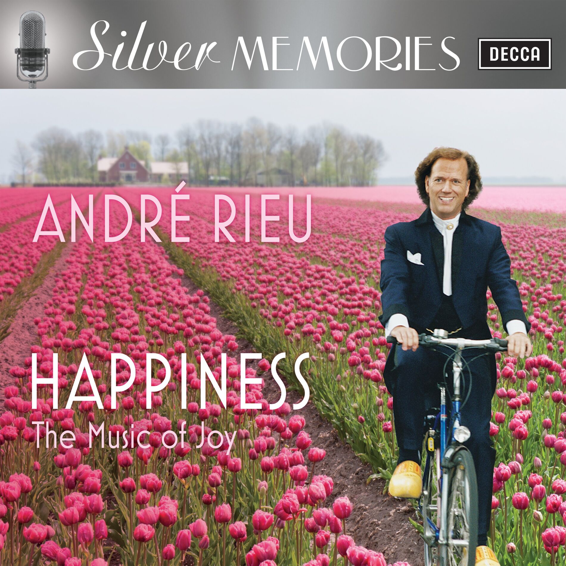 Album cover of Happiness - The Music of Joy (Silver Memories)