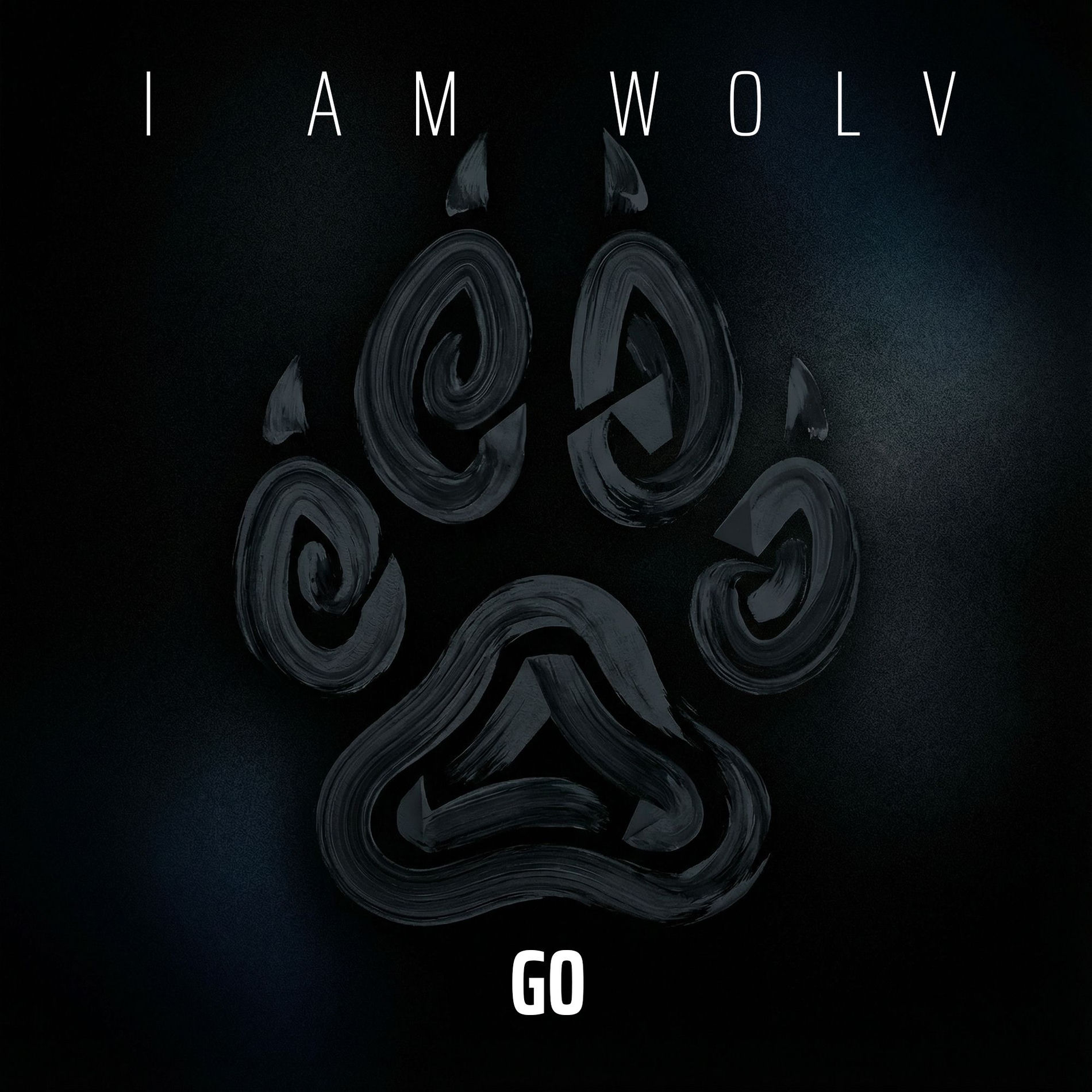Album cover of Go