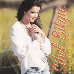 Cover of Alışamadım