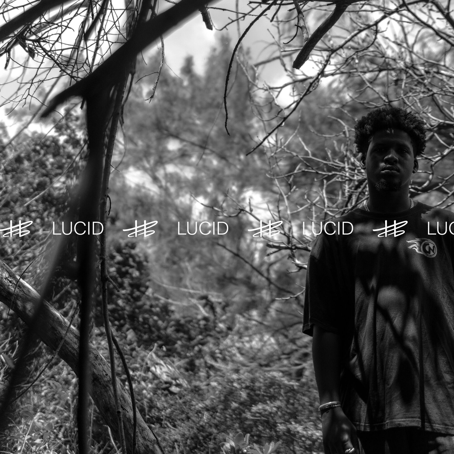 Album cover of Lucid