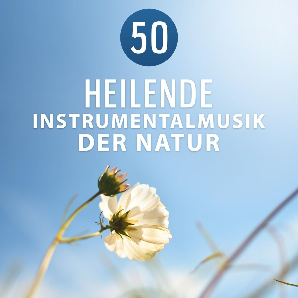 Album cover of Innere Ruhe (Piano Musik)