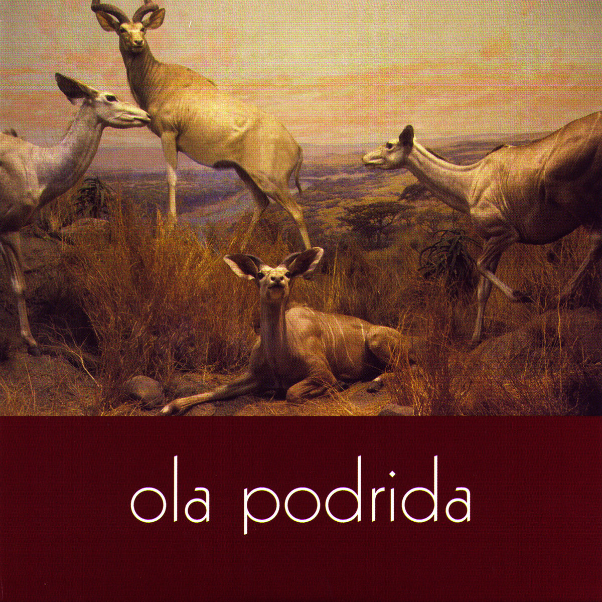 Album cover of Ola Podrida