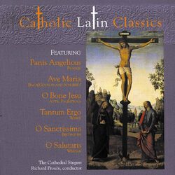 Cover of Catholic Classics, Vol. 4: Catholic Latin Classics