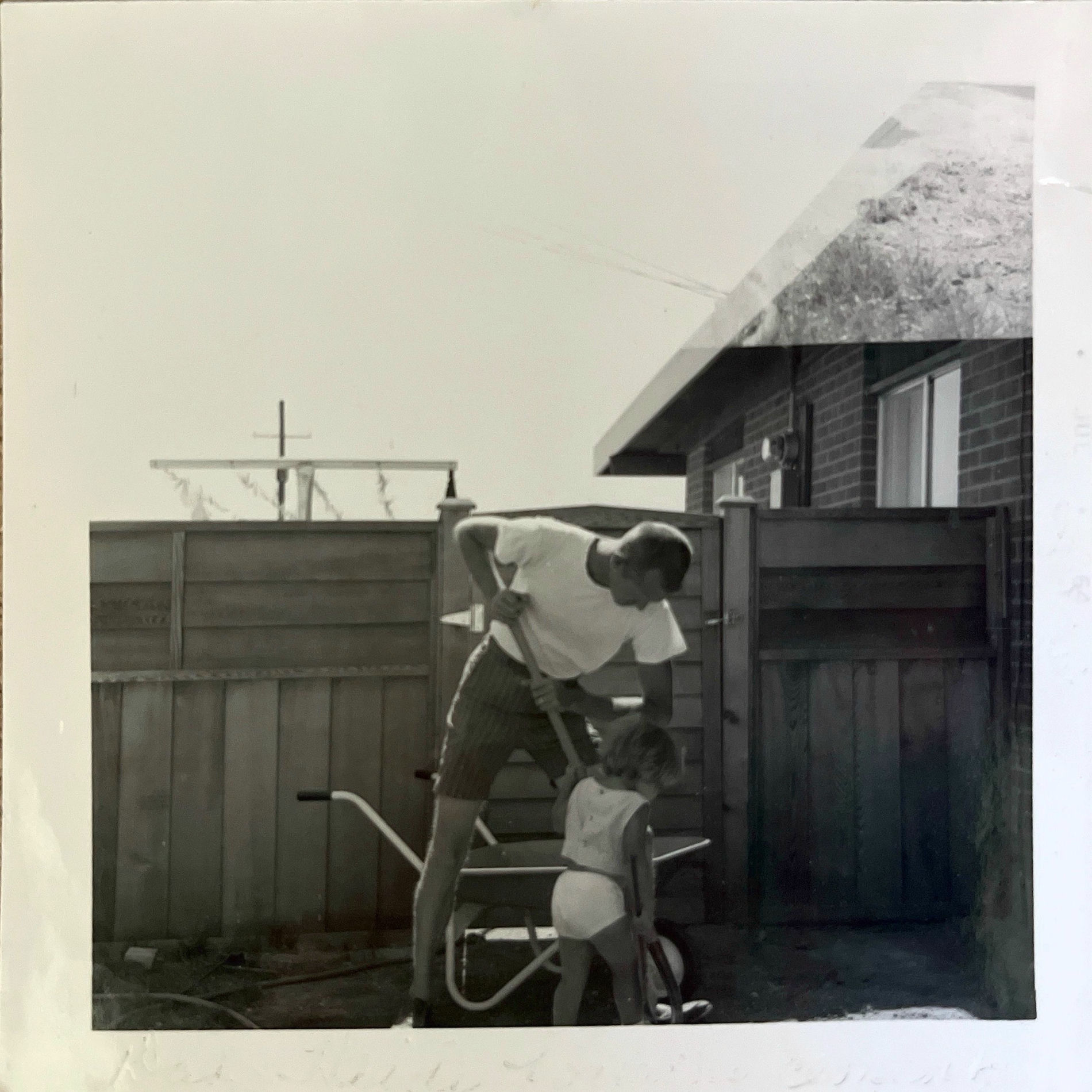 Album cover of The Garden