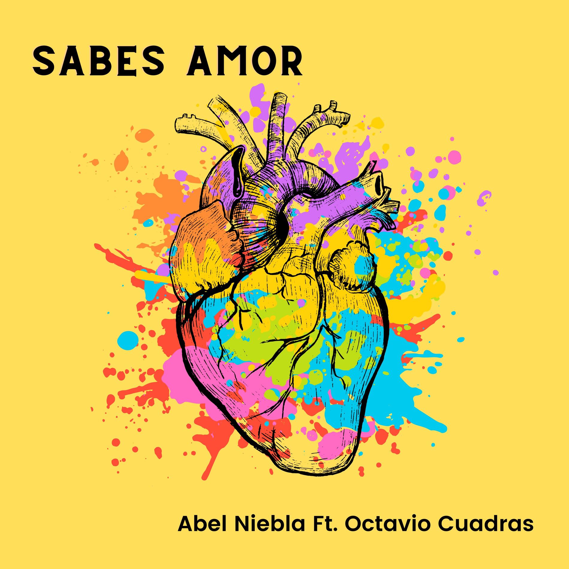 Album cover of Sabes Amor