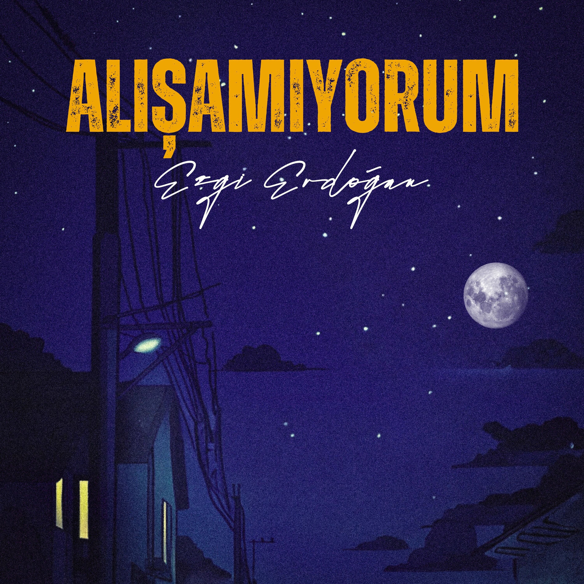 Album cover of Alışamıyorum