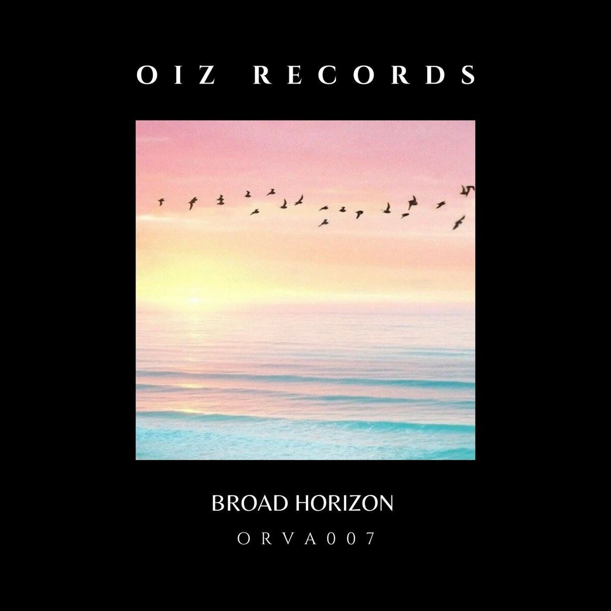 Album cover of BROAD HORIZON