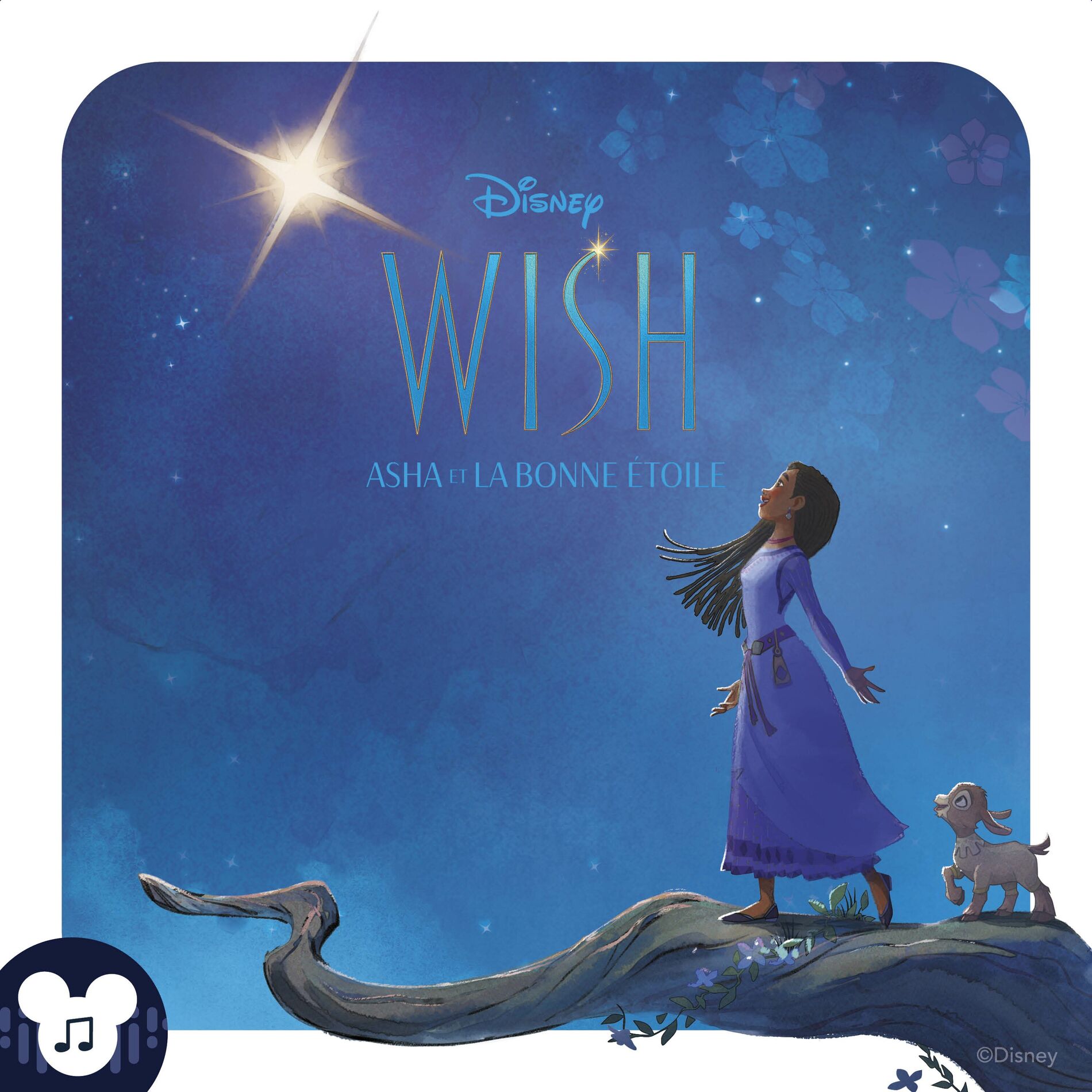 Album cover of Chapter 17 - Wish, Asha et la bonne étoile : L'histoire du film Disney