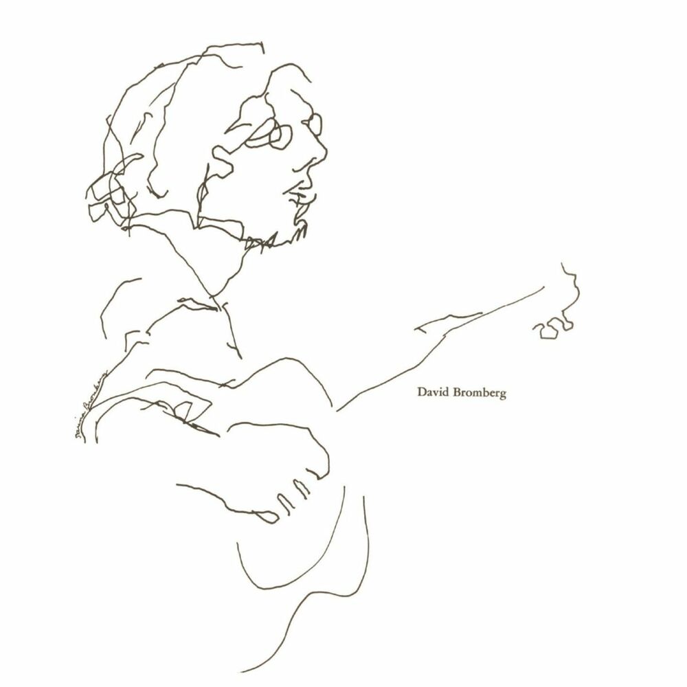 Picture of David Bromberg