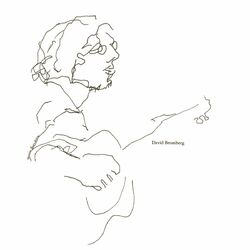 Cover of David Bromberg