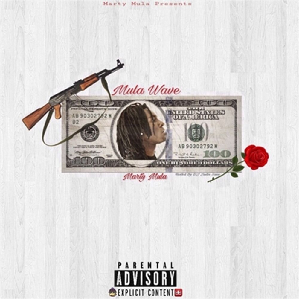 Picture of Mula Wave