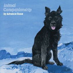 Cover of Animal Companionship