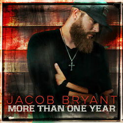 Cover of More Than One Year
