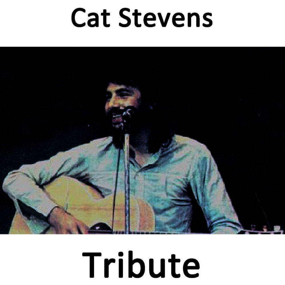 Picture of Wild World: Tribute To Cat Stevens